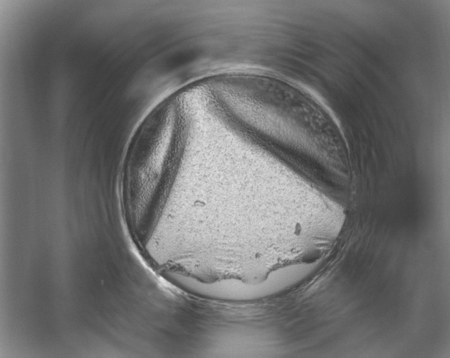 X0000058831007200510282218