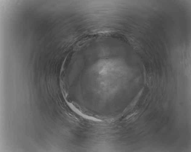 X0000058831010200510282217