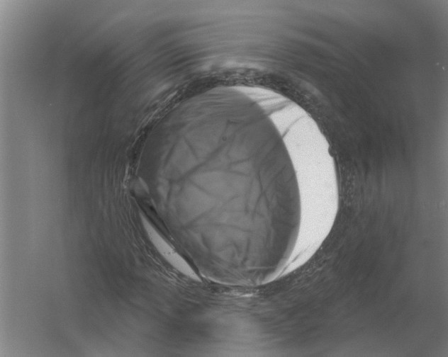 X0000058831013200510282217
