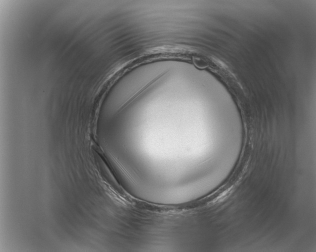 X0000058831017200510282217