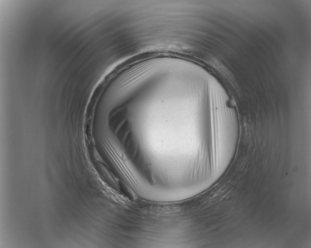 X0000058831020200510282217