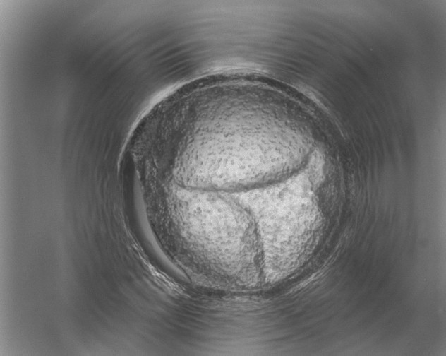 X0000058831022200510282217