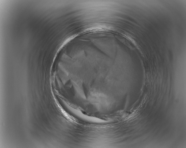 X0000058831034200510282218