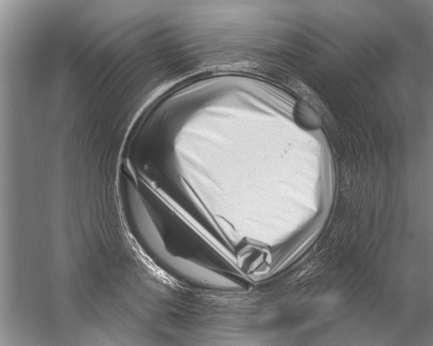 X0000058831036200510282218