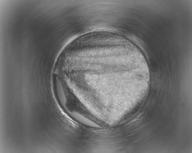 X0000058831048200510282218