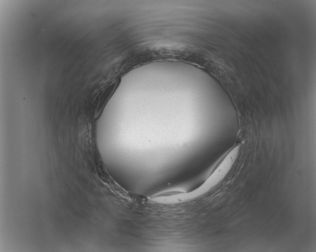 X0000058831061200510282217