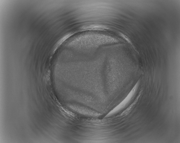 X0000058831066200510282217