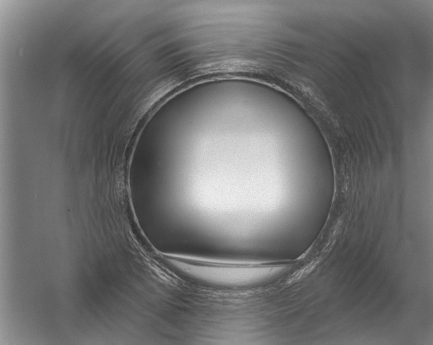X0000058831073200510282217
