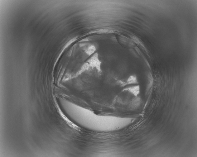 X0000058831095200510282217