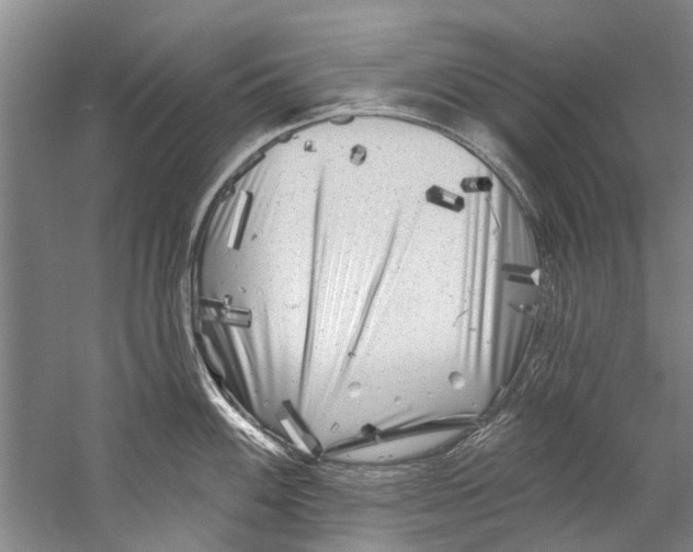 X0000058831100200510282217