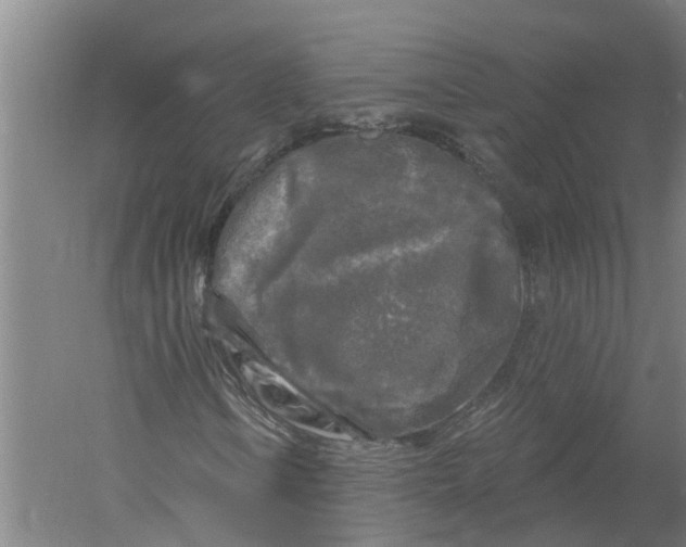 X0000058831106200510282216