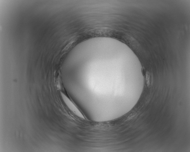 X0000058831107200510282216