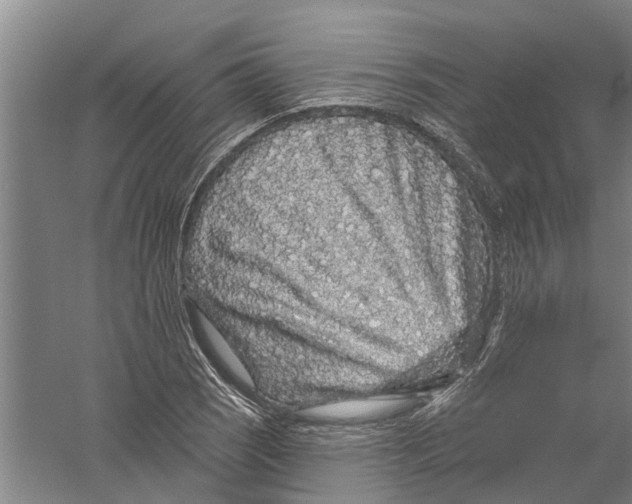 X0000058831121200510282216