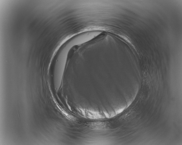 X0000058831127200510282216
