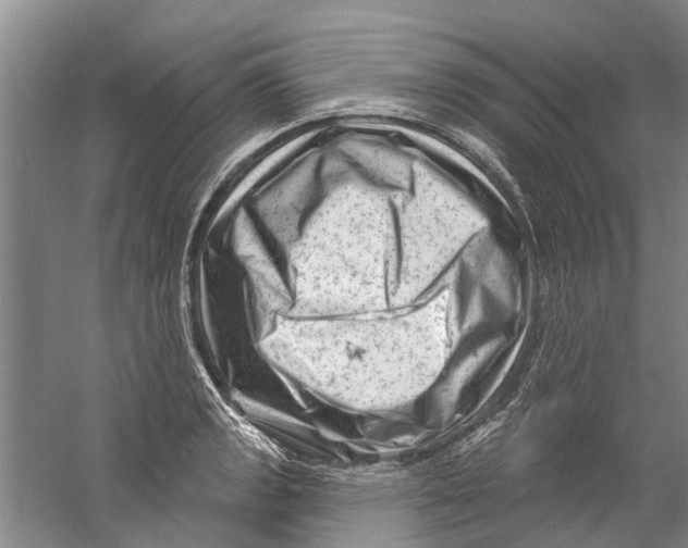 X0000058831133200510282216