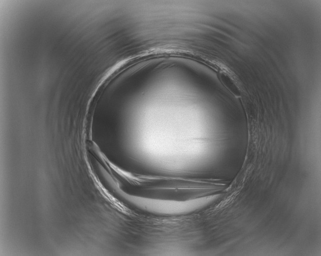 X0000058831134200510282216