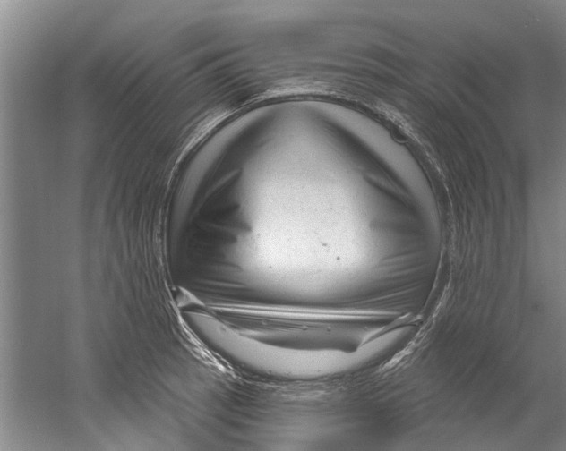 X0000058831137200510282216