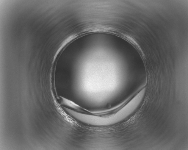 X0000058831138200510282216