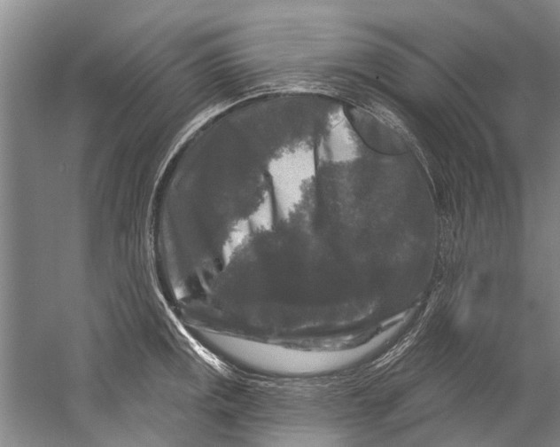 X0000058831141200510282216