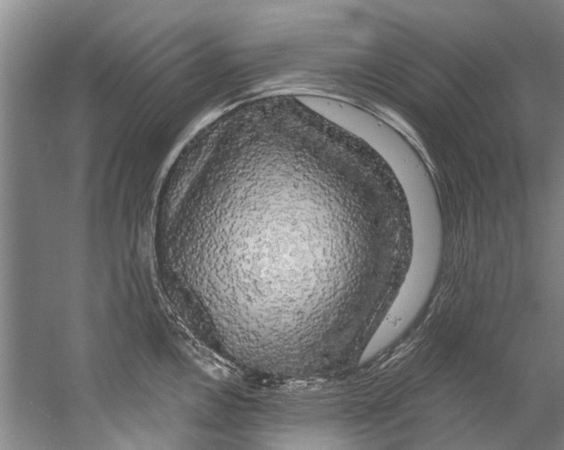 X0000058831146200510282216