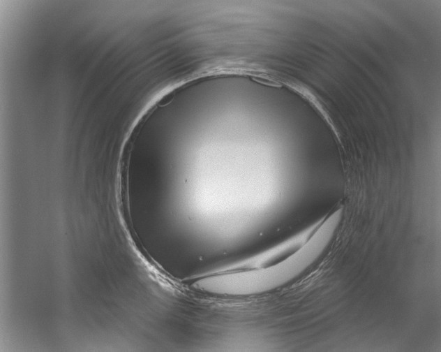 X0000058831147200510282216