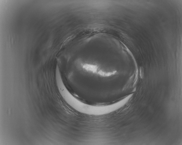 X0000058831155200510282216