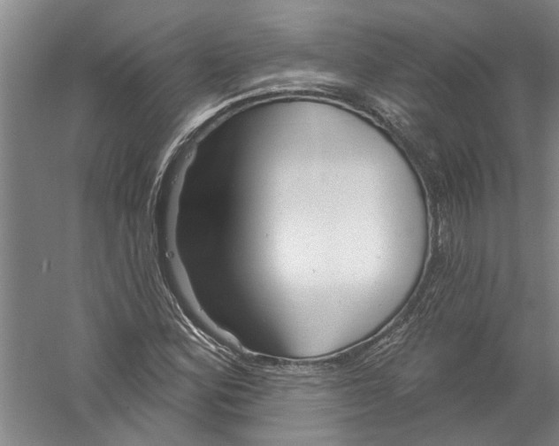 X0000058831164200510282215