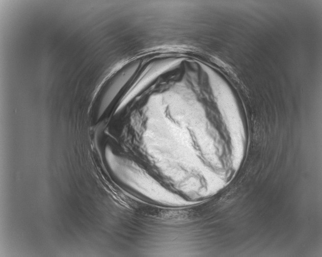 X0000058831171200510282215