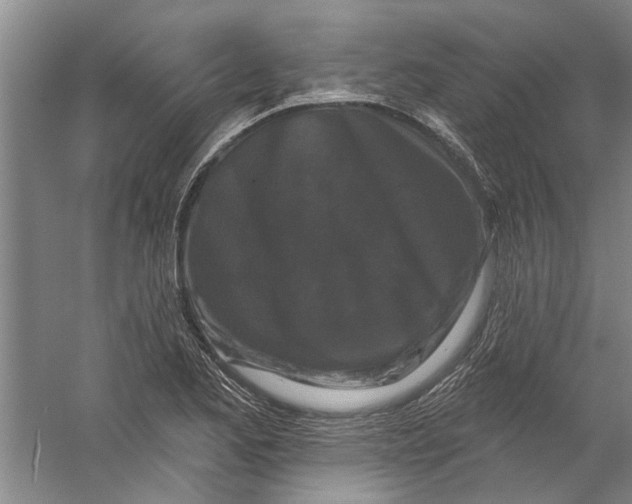 X0000058831173200510282215