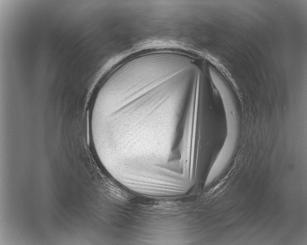 X0000058831175200510282215