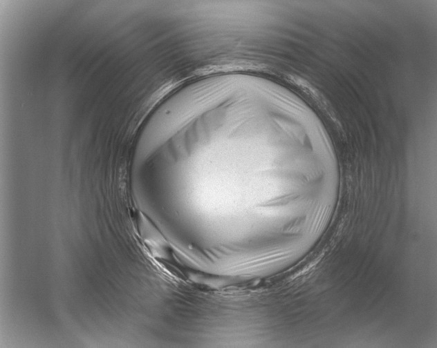 X0000058831185200510282215