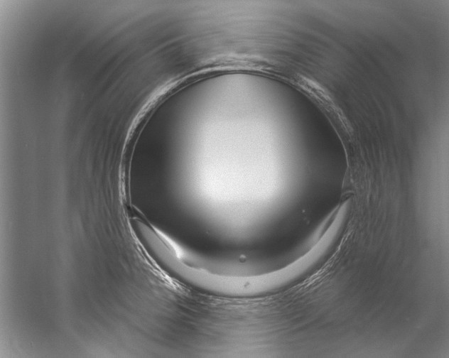 X0000058831188200510282215
