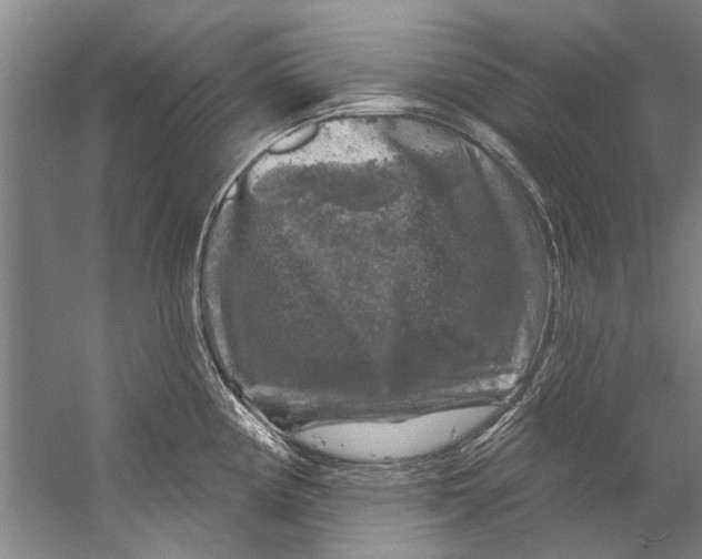 X0000058831194200510282215