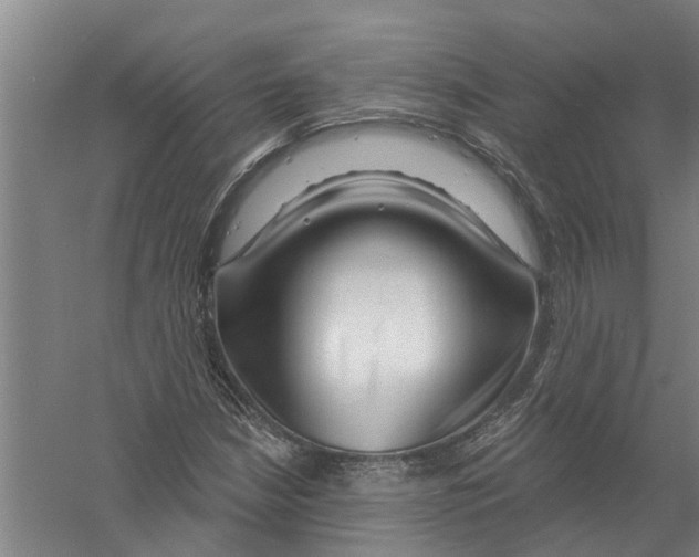 X0000058831210200510282214