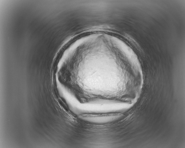 X0000058831224200510282214