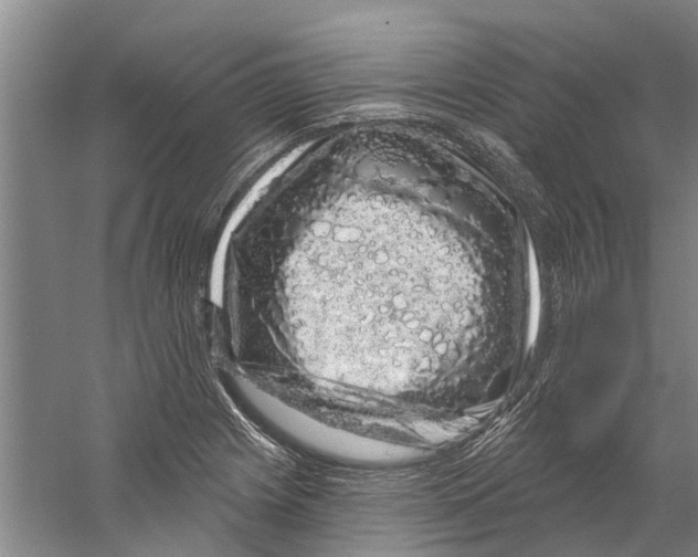 X0000058831225200510282214