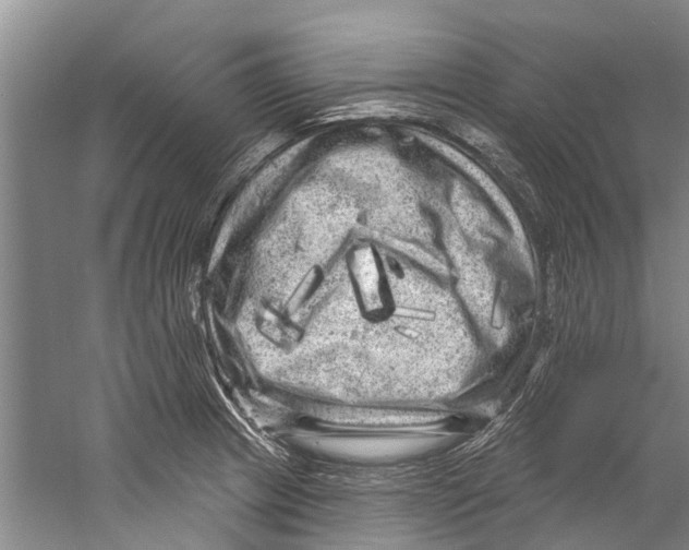 X0000058831233200510282215