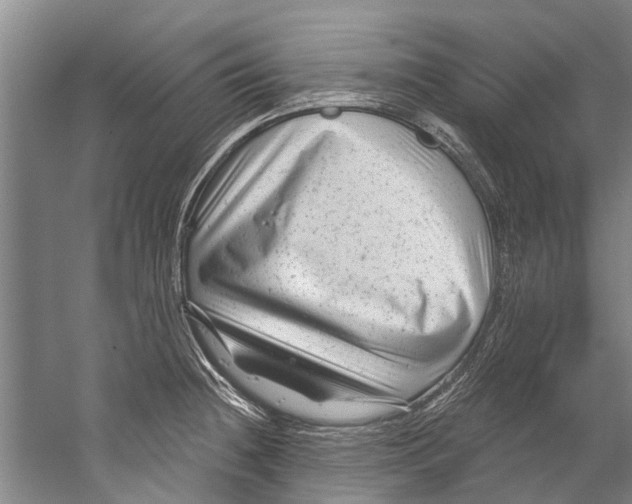 X0000058831236200510282215