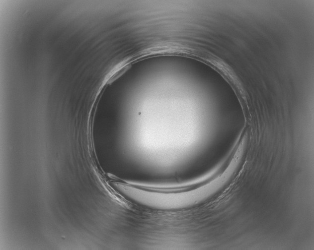 X0000058831242200510282215
