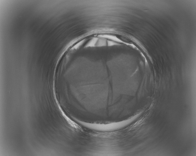 X0000058831245200510282215