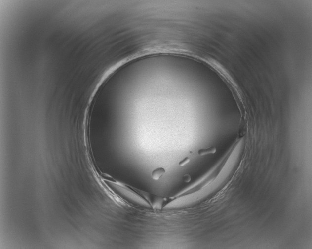 X0000058831246200510282215