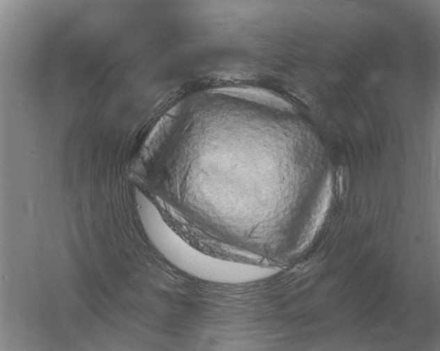 X0000058831251200510282214