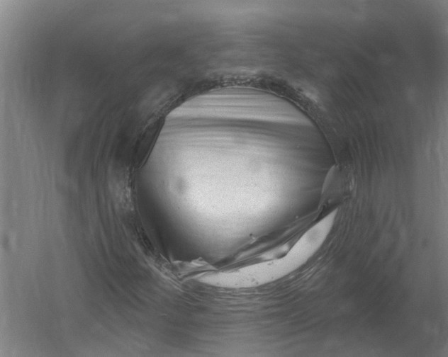 X0000058831252200510282214