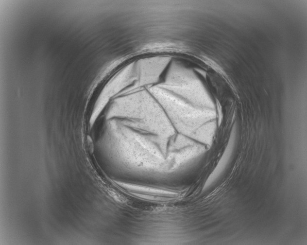 X0000058831277200510282213