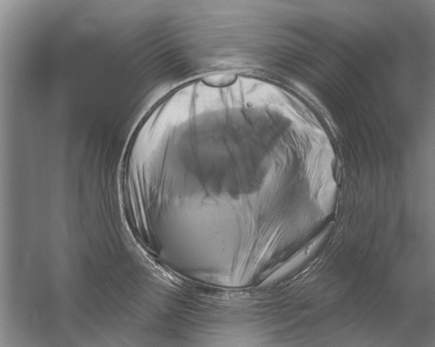 X0000058831291200510282213
