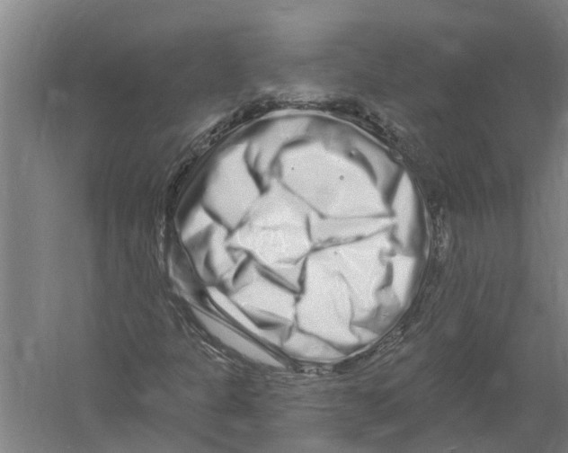X0000058831301200510282212
