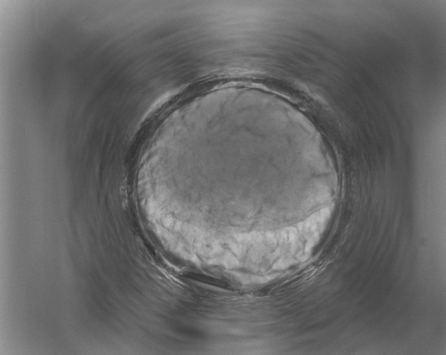 X0000058831306200510282212