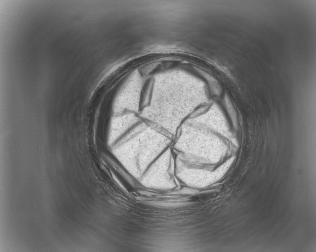X0000058831311200510282213