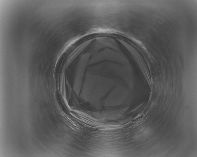 X0000058831319200510282213