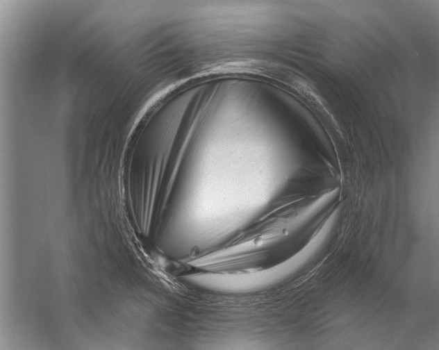 X0000058831328200510282213